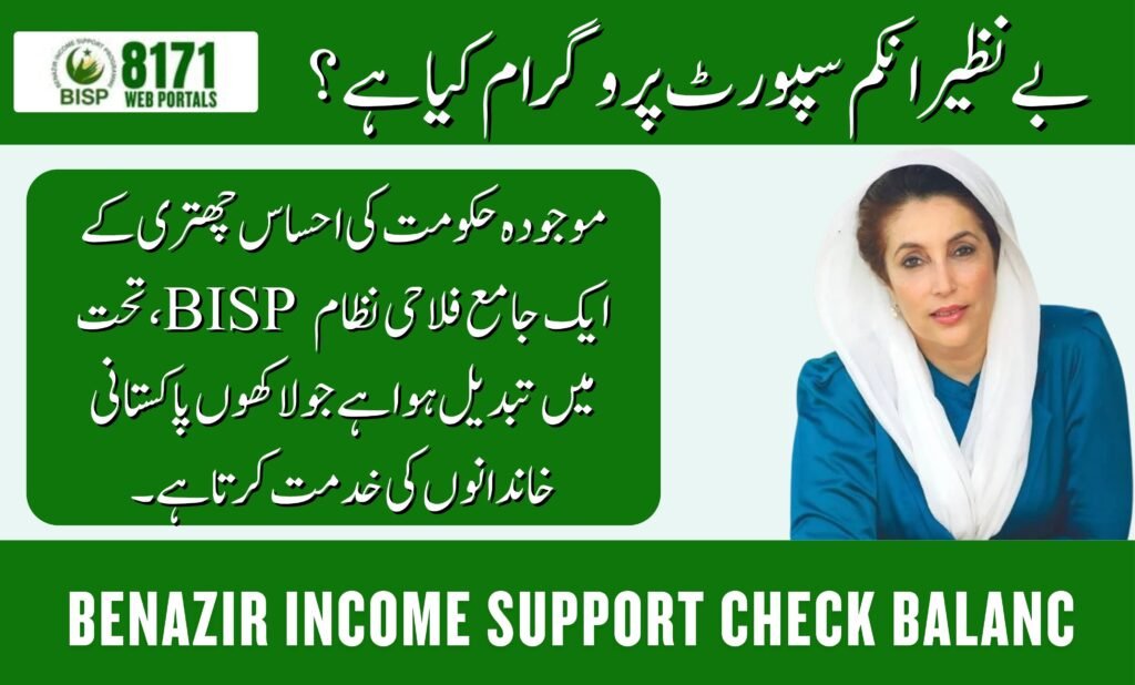 Benazir Income Support Check Balanc