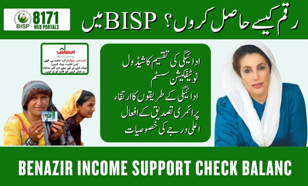 Benazir Income Support Check Balanc
