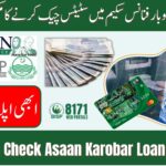 How to Check Asaan Karobar Loan Status