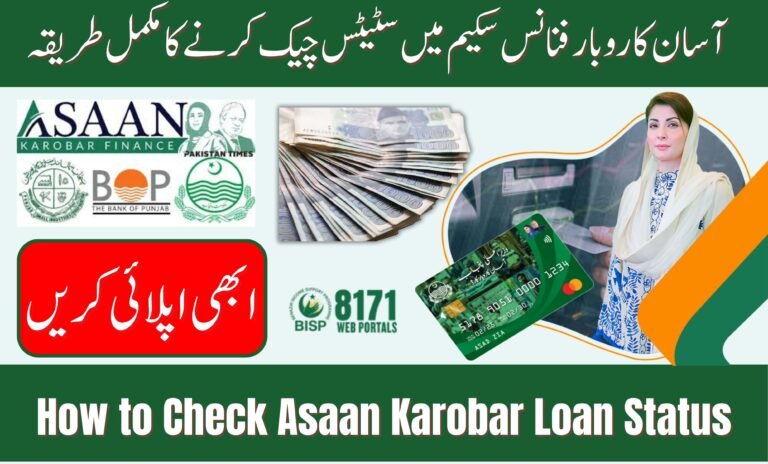 How to Check Asaan Karobar Loan Status