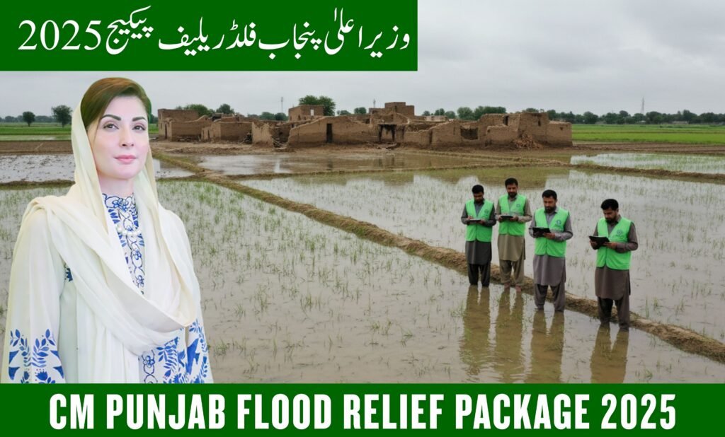 CM Punjab Flood Relief Package 2025 