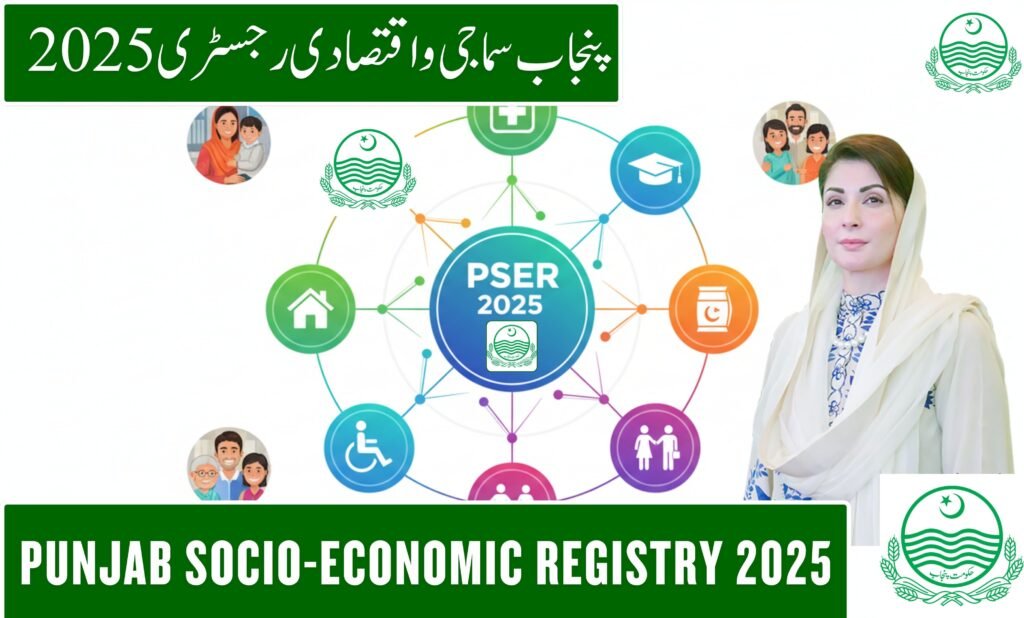 Punjab Socio-Economic Registry 2025