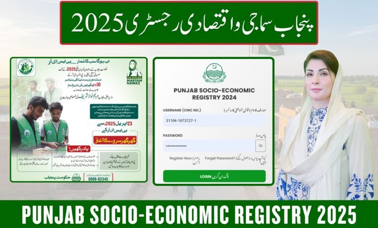 Punjab Socio-Economic Registry 2025